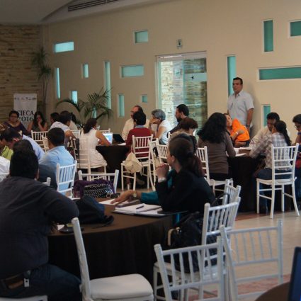 Red Iberoamericana de Academias de Investigación