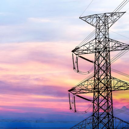 Red Iberoamericana de Academias de Investigación