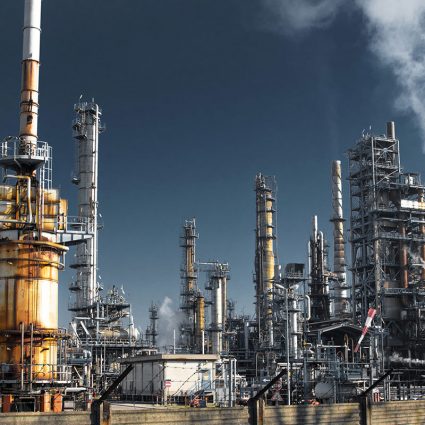 Red Iberoamericana de Academias de Investigación