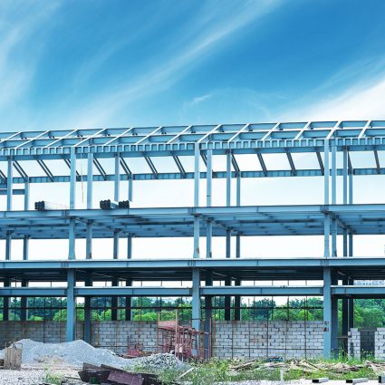 Red Iberoamericana de Academias de Investigación